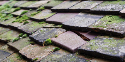 Park Langley roof repair costs